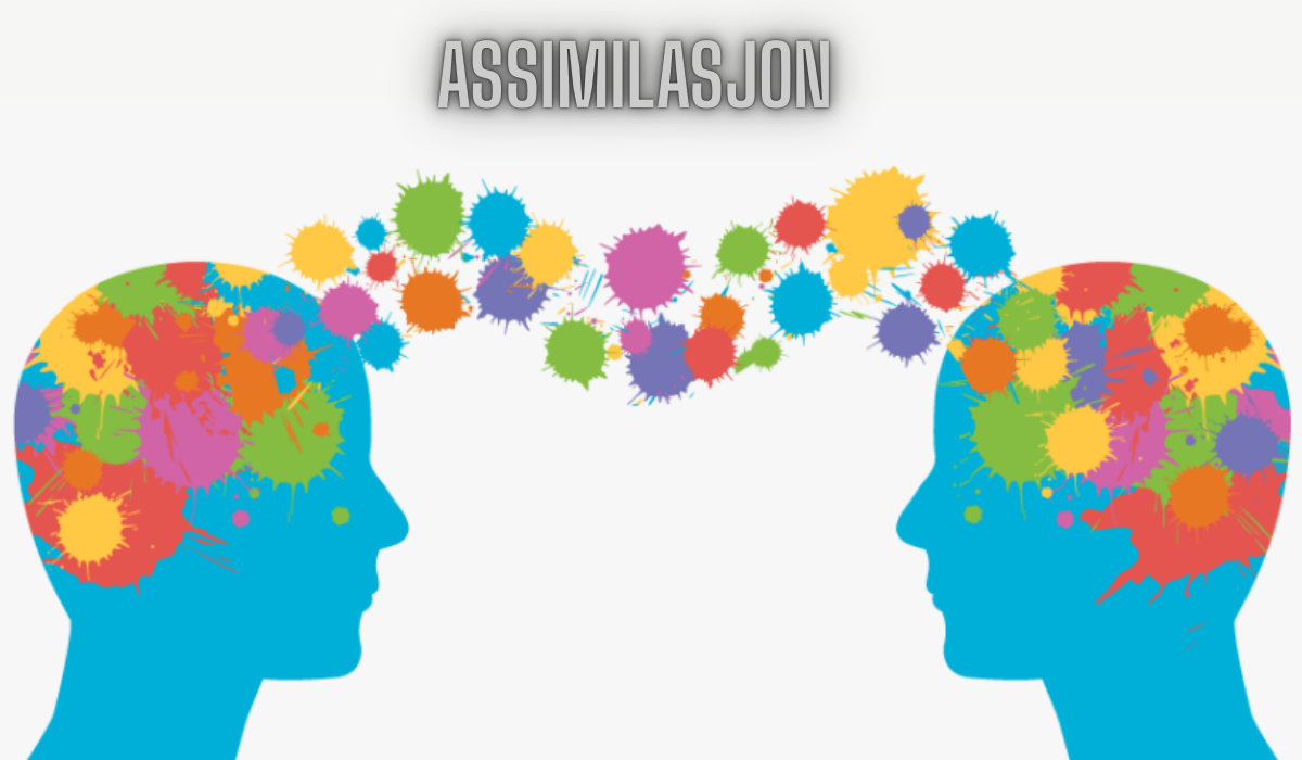 Assimilasjon