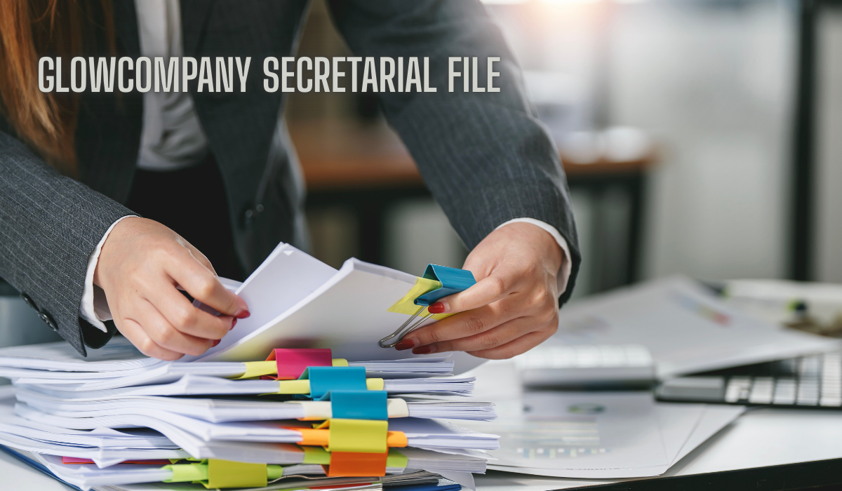 Company Secretarial File