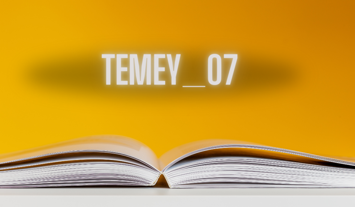 temey_07